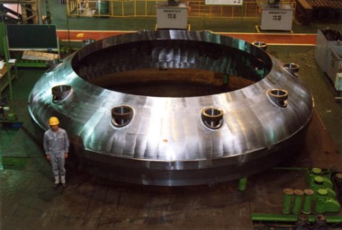 ABWR bottom petal, weighting 80 tonnes (JSW)