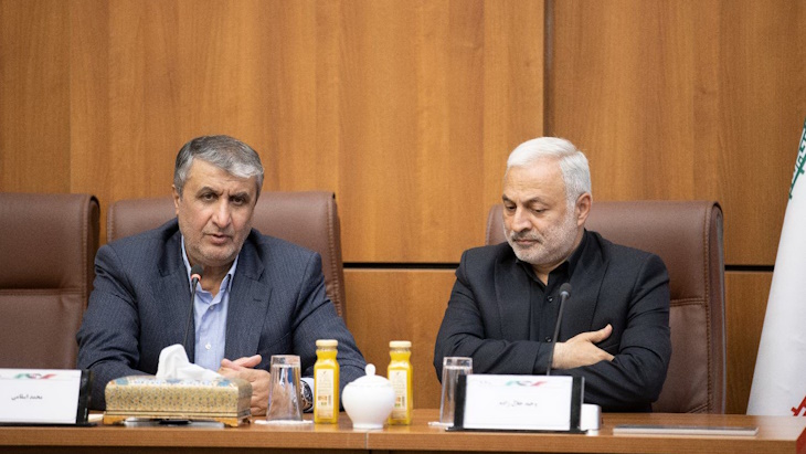 AEOI head outlines Iranian nuclear energy targets