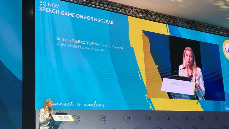 Game on for nuclear, declares Bilbao y León