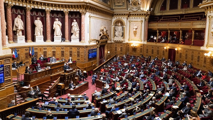 French Senate adopts bill on accelerating nuclear new build