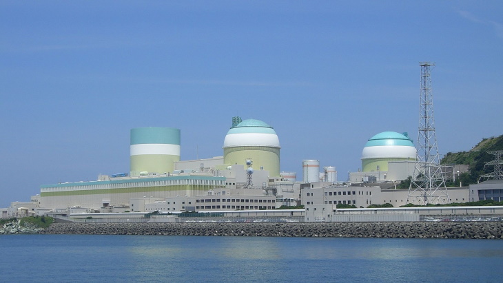 Japanese reactor restarted following prolonged outage