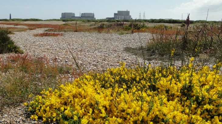UK nuclear decommissioning plan could deliver savings, but risks remain - NAO