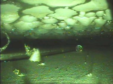Dounreay sodium deposits
