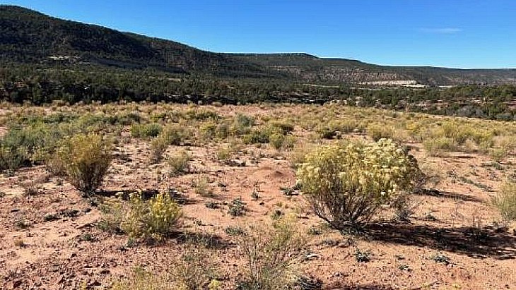Fast-tracked US uranium project receives federal approval