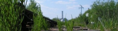 Chernobyl tracks 460x120