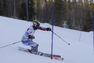 Slalom skiier (Energoatom)